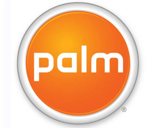 PALM（手持设置形式）