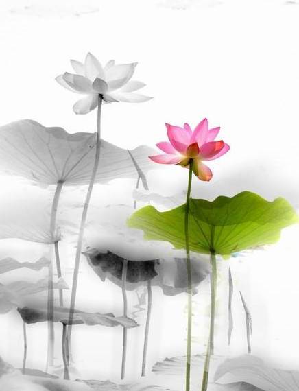 营销型网站制作