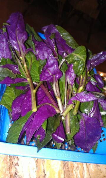 原味主张（丽斯大厦店）