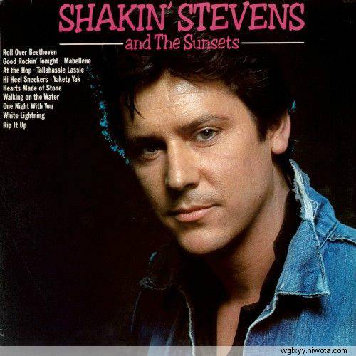because i love you（Shakin Stevens演唱歌曲）