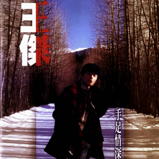 手足情深（1996年发行王杰第17张国语专辑）