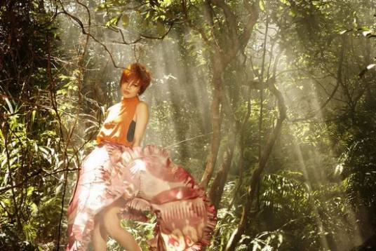 花千树（2011年容祖儿演唱的粤语歌曲）