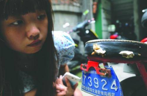 电瓶车后座长蘑菇