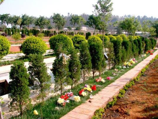 树葬（丧葬习俗）