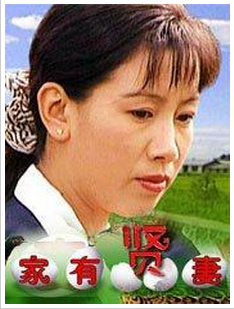 家有贤妻（金作信导演大陆电影）