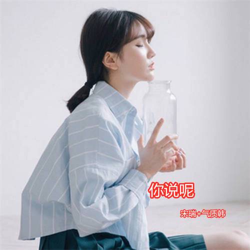 你说呢（宋瑞和气质韩演唱的歌曲）