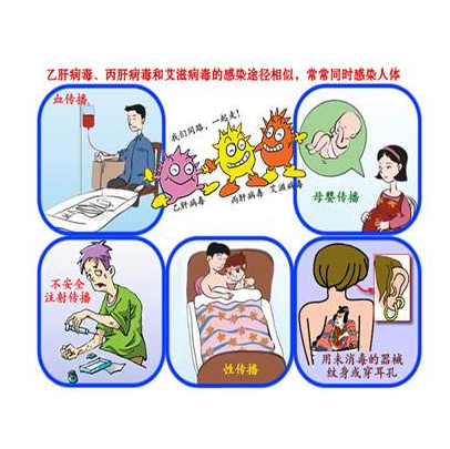 乙肝病毒传播途径