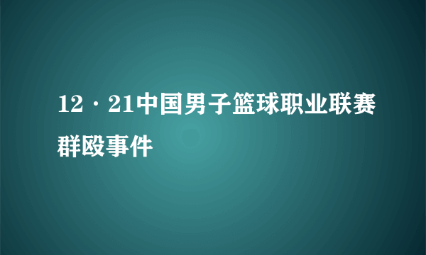 12·21中国男子篮球职业联赛群殴事件