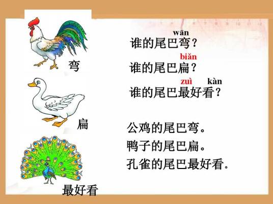 比尾巴（小学1年级的一篇课文）