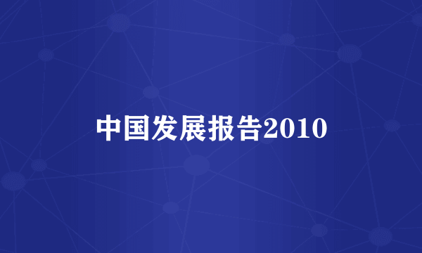 中国发展报告2010