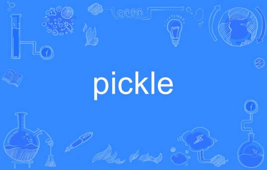 pickle（英语单词）