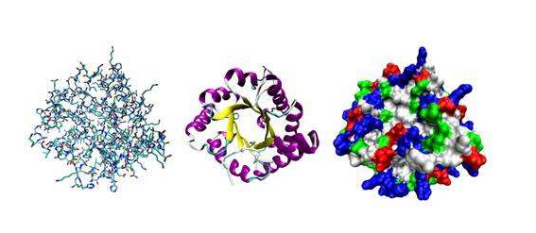蛋白质序列数据库