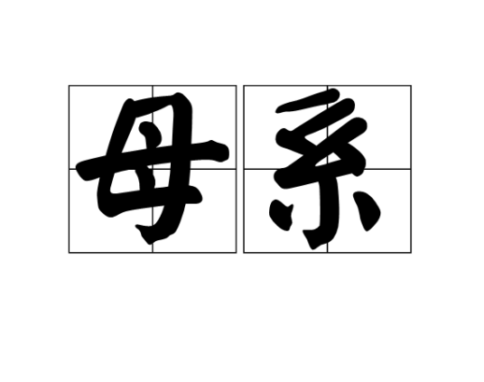 母系（汉语词汇）
