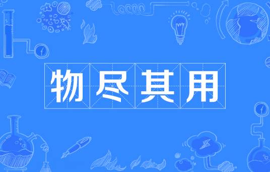 物尽其用（汉语成语）