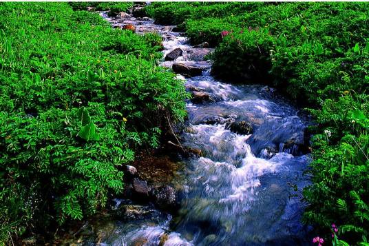 小溪（自然现象）