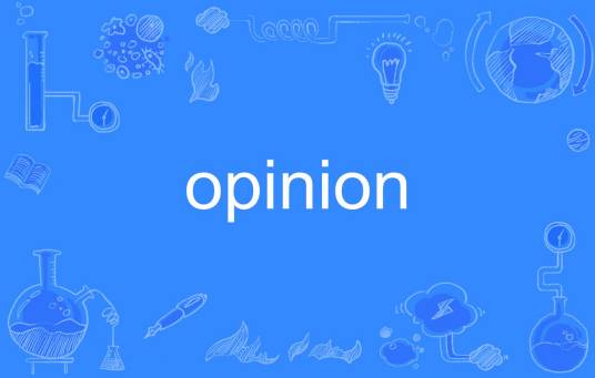 opinion