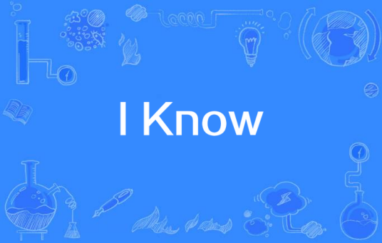 I Know（Jay-Z歌曲）