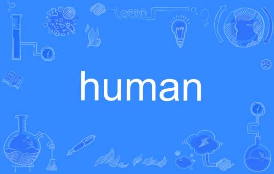 human（英语单词）