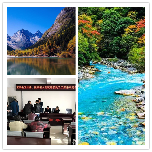 陇东镇（四川省雅安市宝兴县下辖镇）