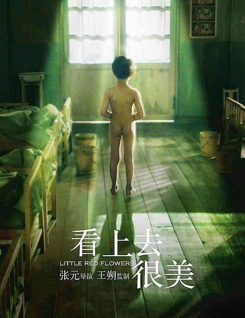 看上去很美（2006年张元执导的剧情电影）