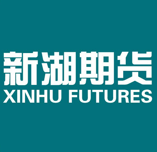 新湖期货有限公司