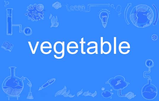 vegetable