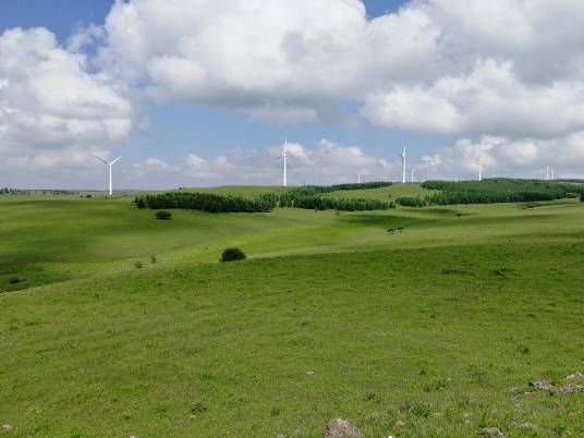 原野（词语解释）