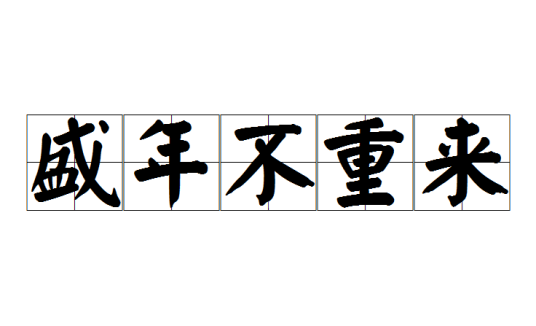 盛年不重来（汉语成语）