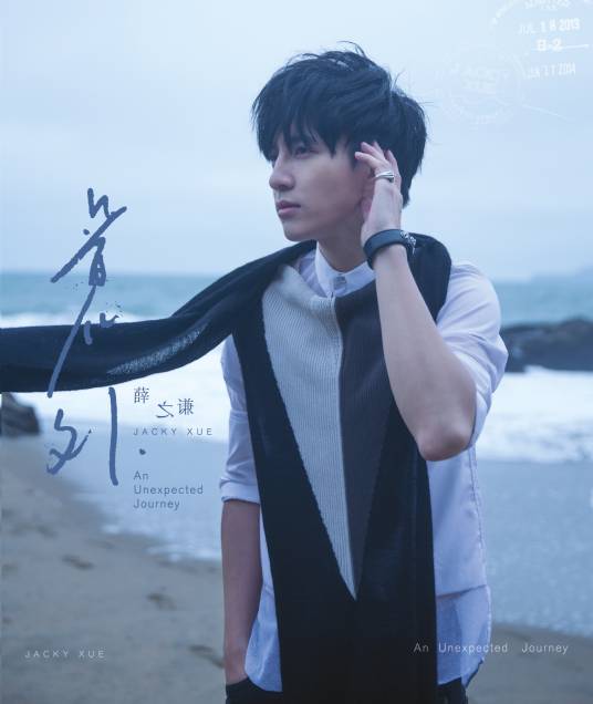 丑八怪（2013年薛之谦演唱的歌曲）