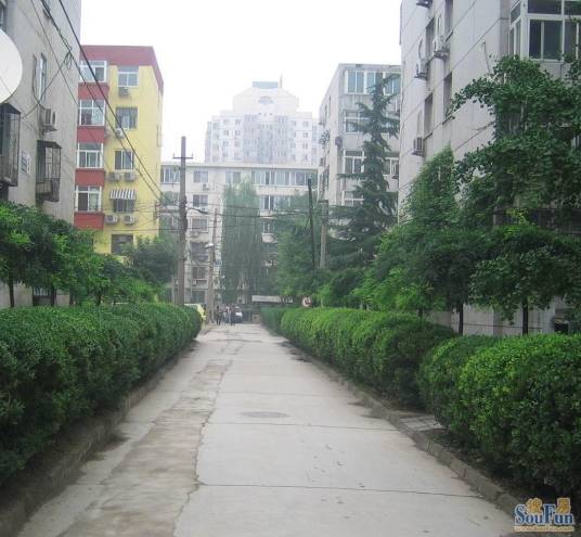 知春路（北京市海淀区东南部街道）