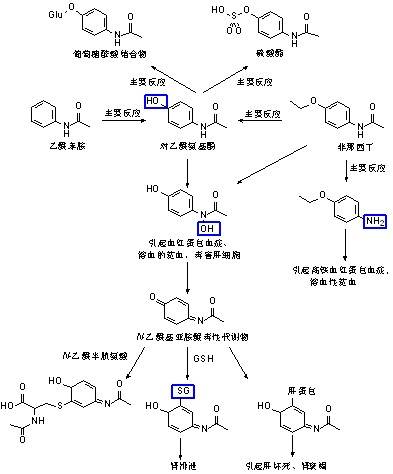 解热镇痛药