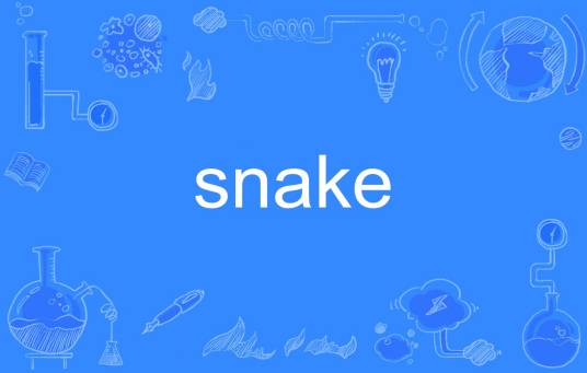 snake（英文单词）