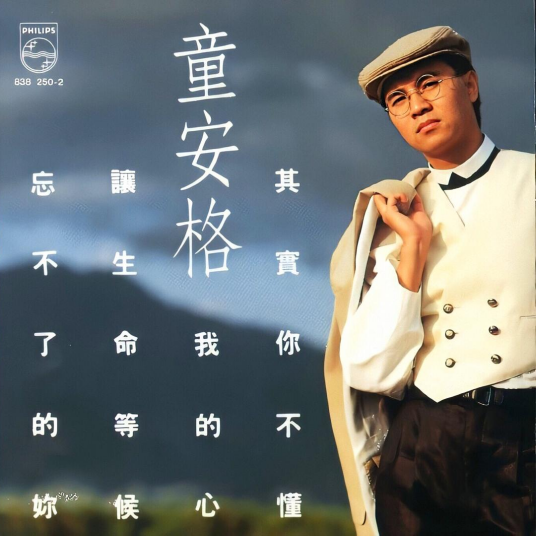 其实你不懂我的心（1989年童安格演唱的歌曲）