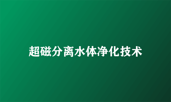 超磁分离水体净化技术