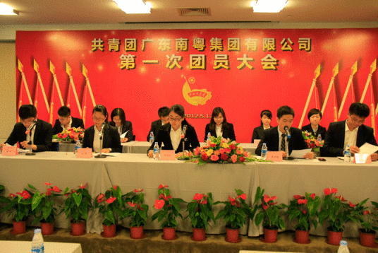 广东南粤集团有限公司