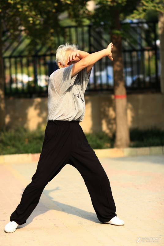 洪拳（湛江洪拳）