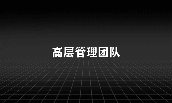 高层管理团队