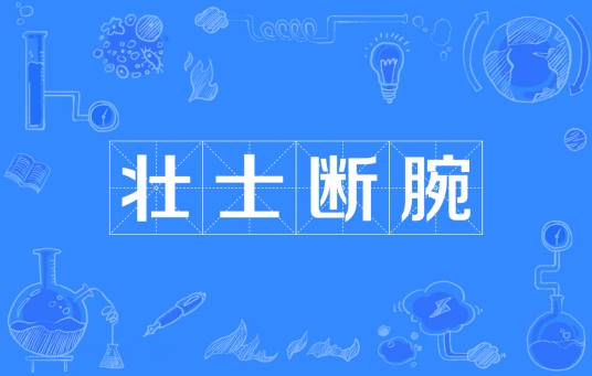 壮士断腕（网络流行词）