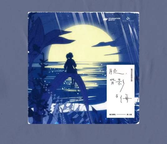 看得最远的地方（毛不易演唱的歌曲）