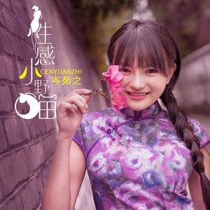 性感小野猫（岑雨桥演唱歌曲）