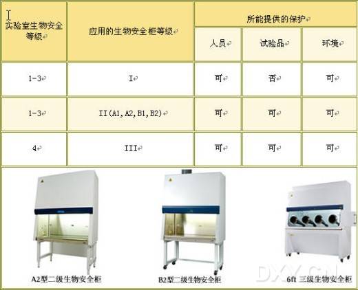 生物安全等级