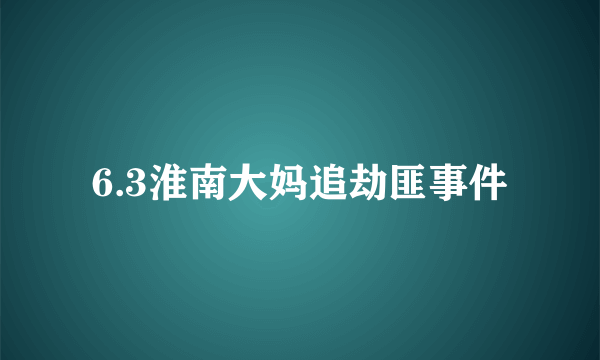 6.3淮南大妈追劫匪事件