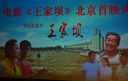 王家坝（2012年张冀平执导的剧情电影）