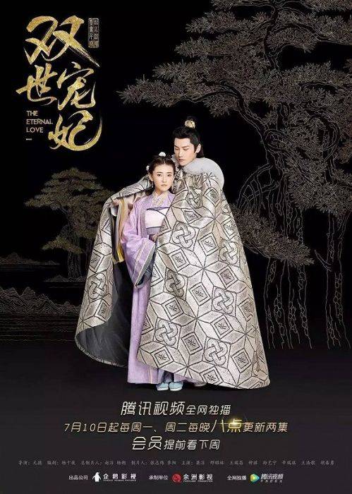 双世宠妃（2017年梁洁、邢昭林主演的古装穿越爱情剧）