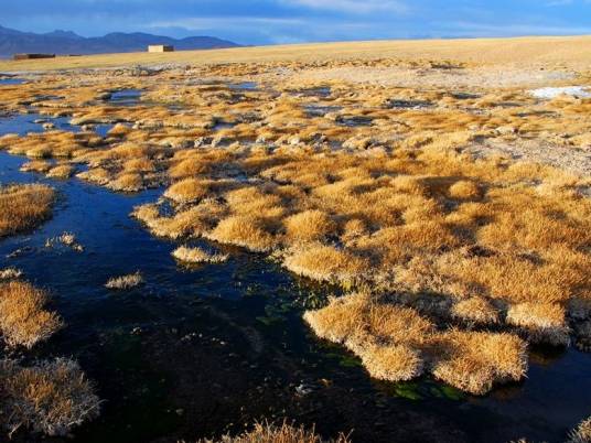 可可西里藏北无人区