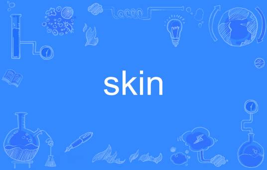 skin（英语单词）