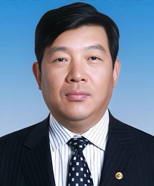 李东（国家能源投资集团有限责任公司原党组成员、副总经理）