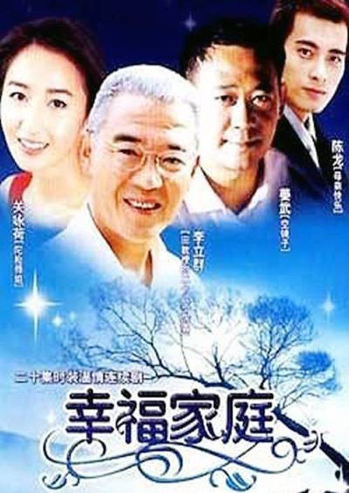 幸福家庭（2001年顾晶执导的电视剧）