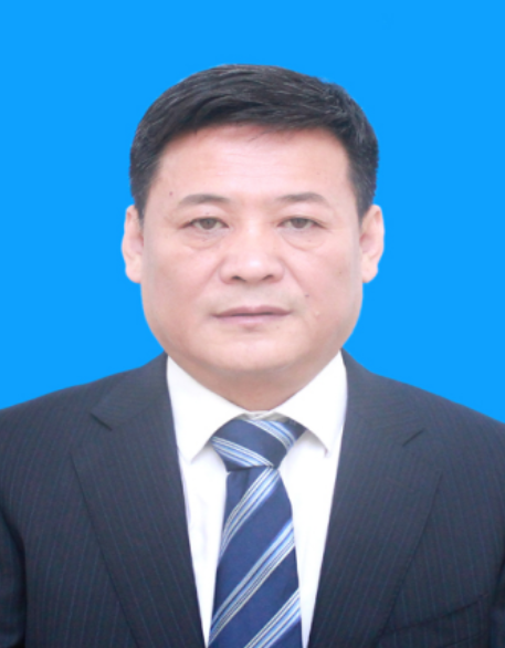 王志平（中国民航大学教授）