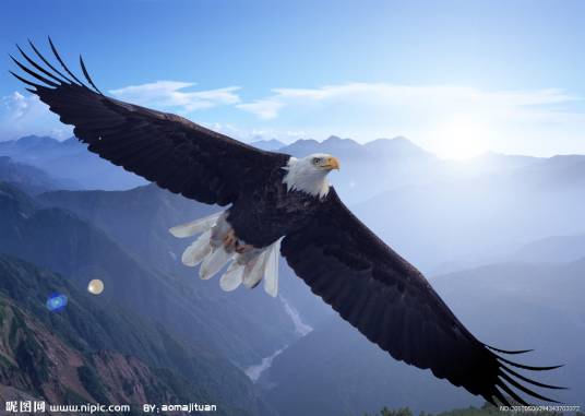 gavin（古德语词汇）